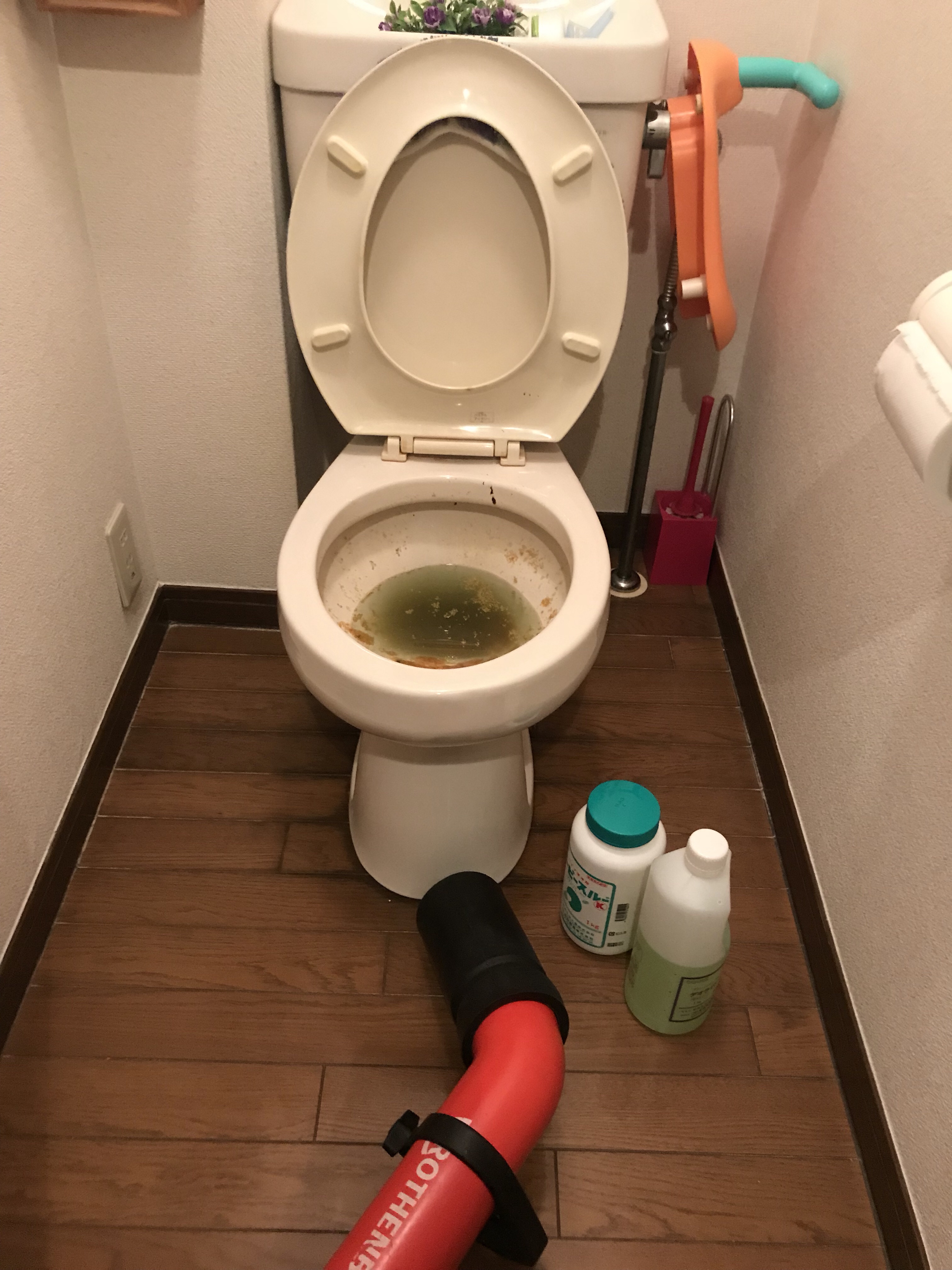 トイレ詰まり 茨木市 水もれドルフィン