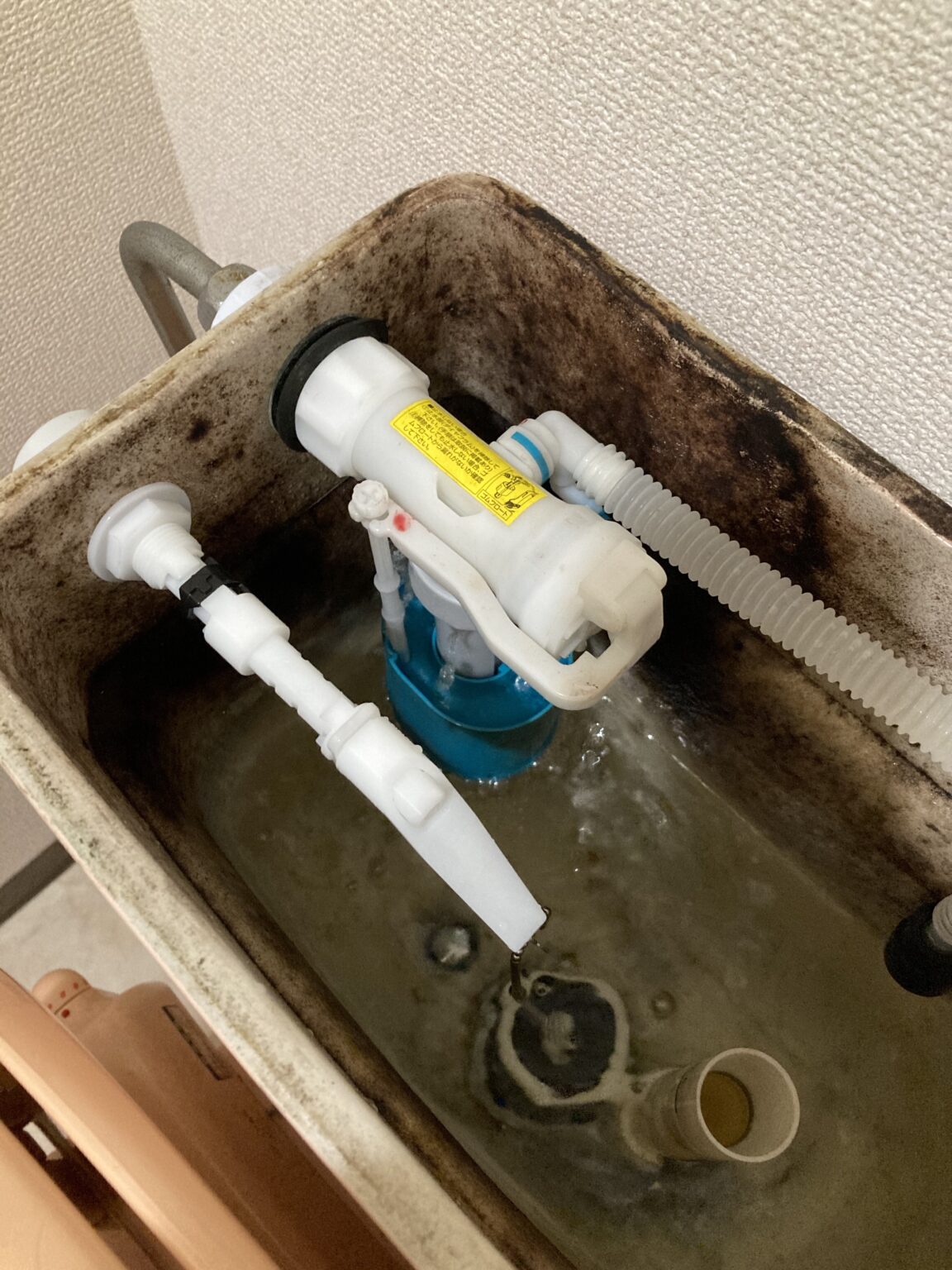 トイレ床と便器の間から水漏れ 京都市下京区 水もれドルフィン